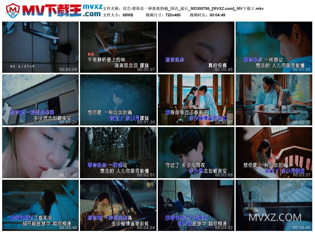 佳艺-想你是一种淡淡的痛_国语_流行_MD300756